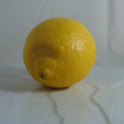 Citron Bio - Du Panier à l'Assiette Citron Bio - Du Panier à l'Assiette