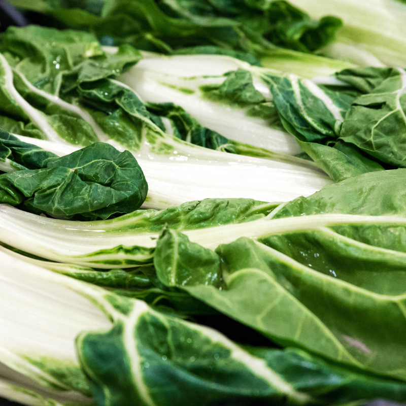 blette bio- Du Panier à l'Assiette blette bio- Du Panier à l'Assiette