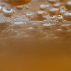 Kombucha Bio - Du Panier à l'Assiette