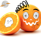 Orange Bio - Du Panier à l'Assiette