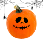 Potimarron orange bio- Du Panier à l'Assiette