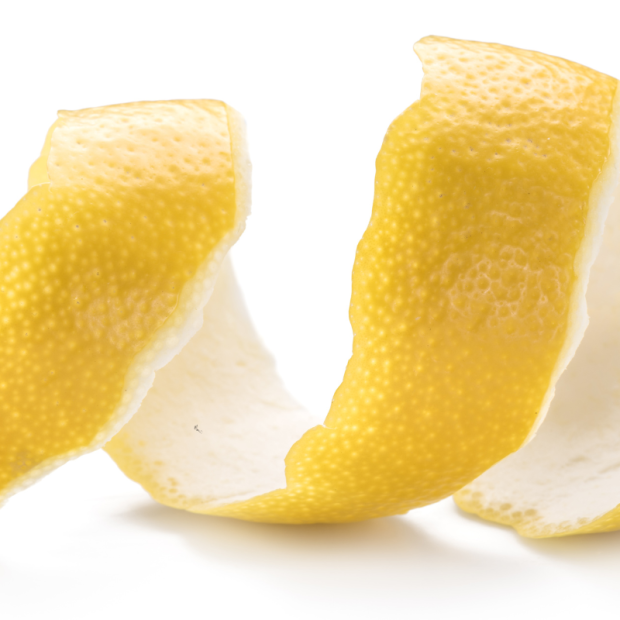 Terrine Pur Porc - Du Panier à l'Assiette