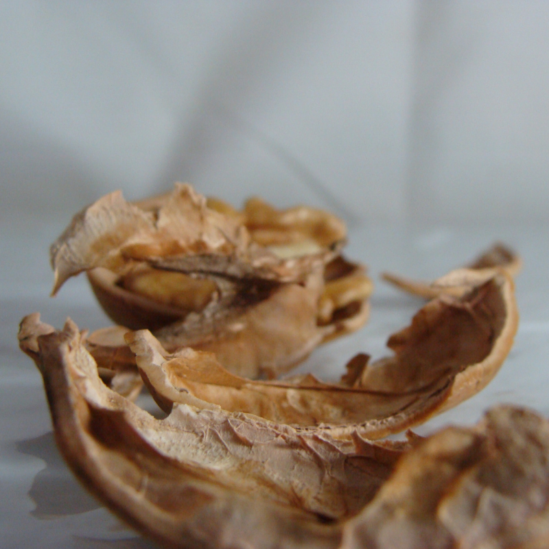 Noix cerneaux bio- Du Panier à l'Assiette