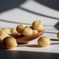 Noix de Macadamia x100 gr