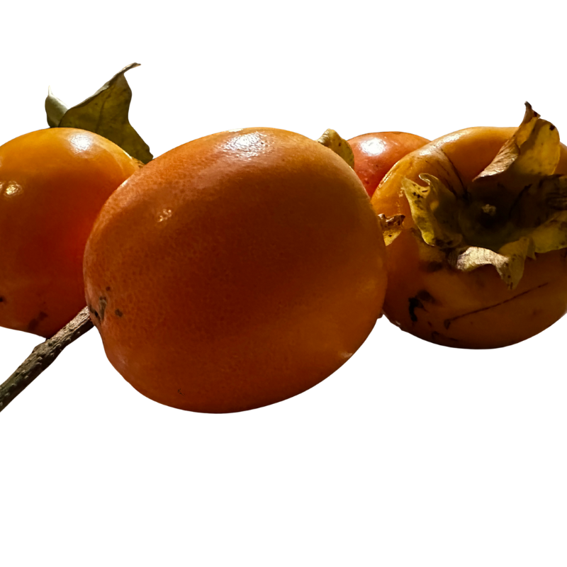 Kaki Bio - Du Panier à l'Assiette