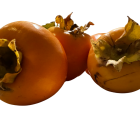 Kaki Bio - Du Panier à l'Assiette