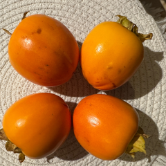 kakis lot de 3 + 1 gratuit