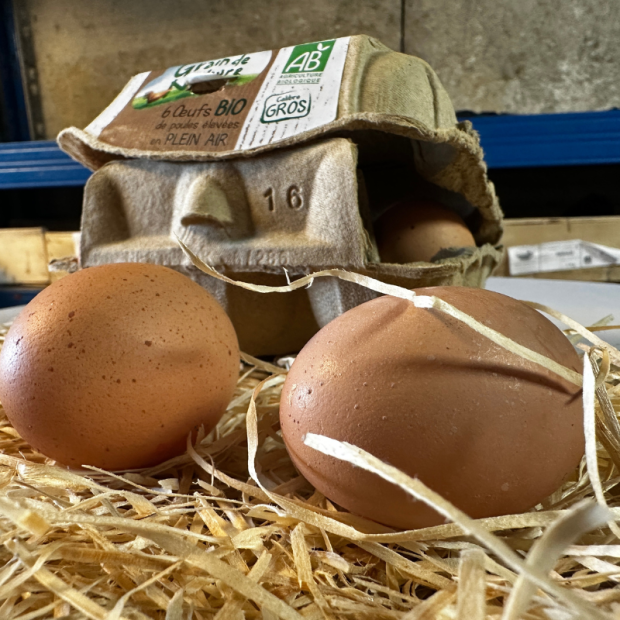 Oeuf Bio - Du Panier à l'Assiette