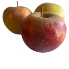 Pomme Dalinette Bio - Du Panier à l'Assiette