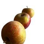 Pomme Dalinette Bio - Du Panier à l'Assiette