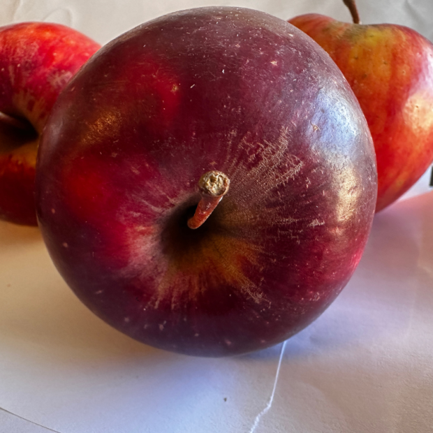 Pomme Pinova Bio - Du Panier à l'Assiette