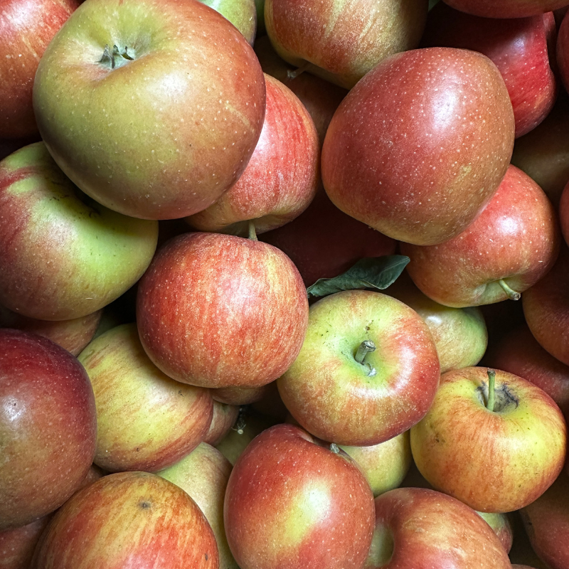 Pomme Braeburn Bio - Du Panier à l'Assiette