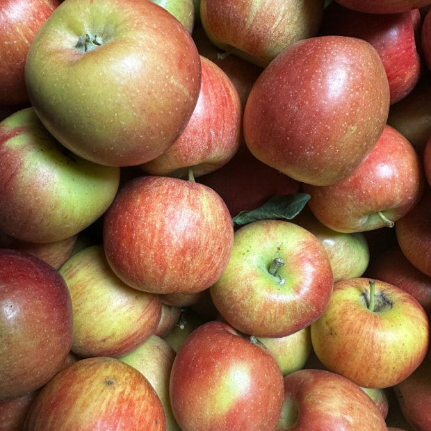 Pomme Braeburn Bio - Du Panier à l'Assiette