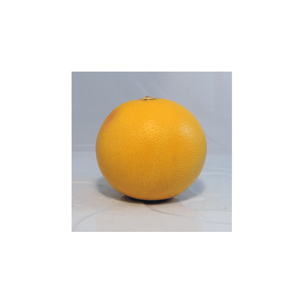 Pomelo rose Bio - Du Panier à l'Assiette