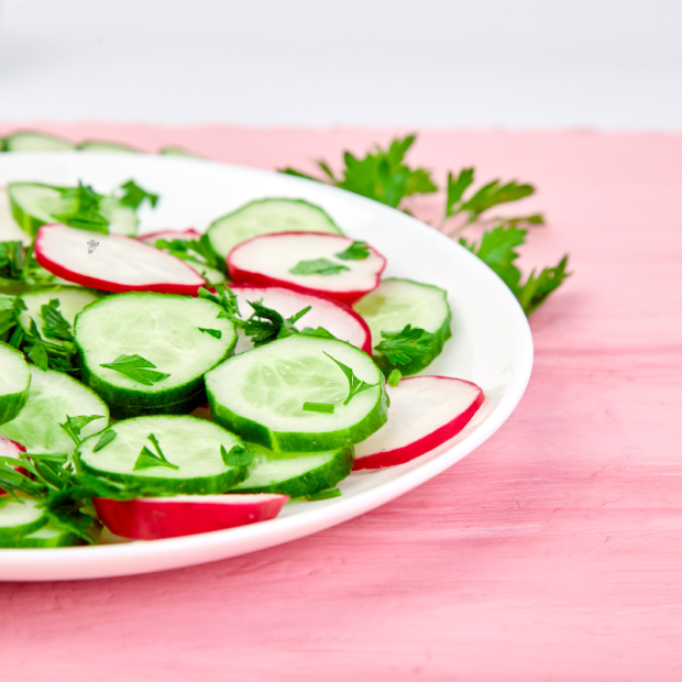 radis rose red candle bio- Du Panier &agrave; l'Assiette