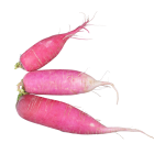 radis rose red candle bio- Du Panier &agrave; l'Assiette