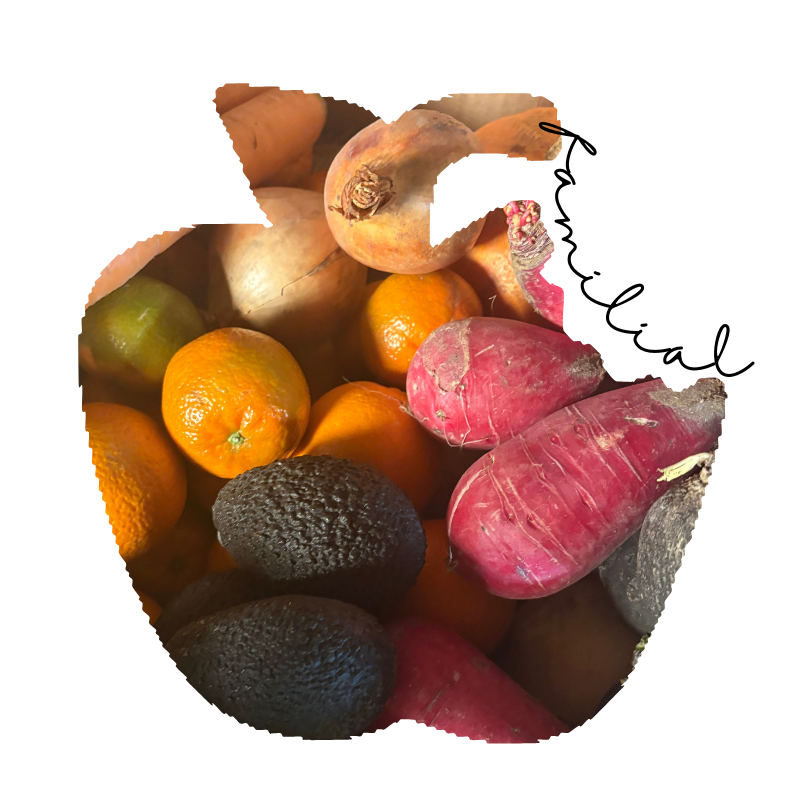 Panier familial mixte Fruits & L&eacute;gumes Bio - Du Panier &agrave; l'Assiette