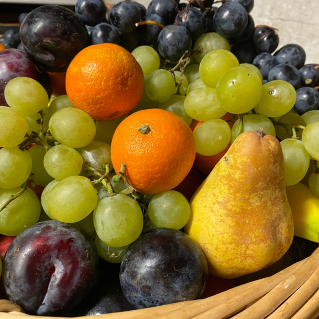 Corbeilles de Fruits Bio en Entreprise - Du Panier &agrave; l'Assiette