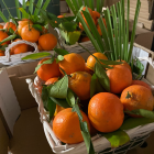 Corbeilles de Fruits Bio en Entreprise - Du Panier à l'Assiette Corbeilles de Fruits Bio en Entreprise - Du Panier à l'Assiette