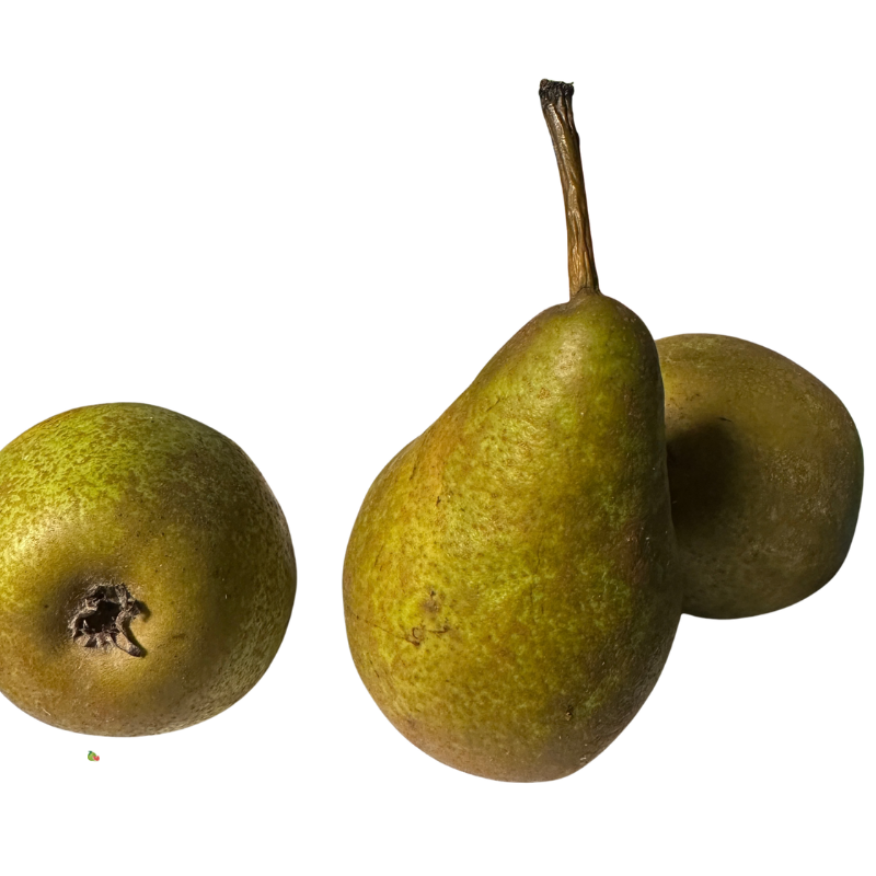 Poire Concorde - Du Panier &agrave; l'Assiette