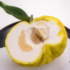 Kombucha Bio - Du Panier &agrave; l'Assiette