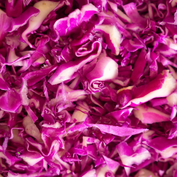 chou rouge breton bio- Du Panier &agrave; l'Assiette