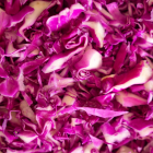 chou rouge breton bio- Du Panier &agrave; l'Assiette