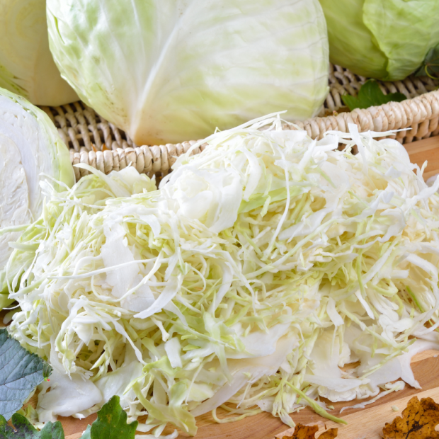 chou blanc breton bio- Du Panier &agrave; l'Assiette