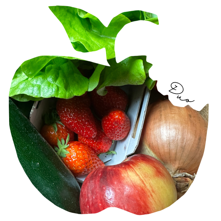 Panier DUO mixte Fruits & L&eacute;gumes Bio - Du Panier &agrave; l'Assiette