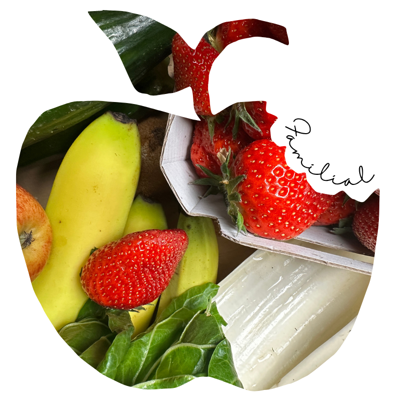 Panier familial mixte Fruits & L&eacute;gumes Bio - Du Panier &agrave; l'Assiette