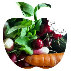 Panier familial mixte Fruits & Légumes Bio