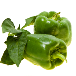 Poivron vert x 500g *Nouveau*