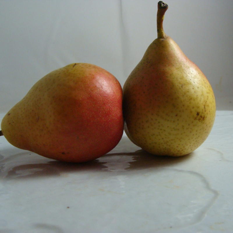 Poire Célina - Du Panier à l'Assiette Poire Célina - Du Panier à l'Assiette