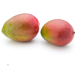 Lot de 2 Mangues *PROMO*
