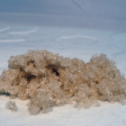 Sucre de Canne Bio - Du Panier à l'Assiette