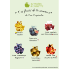 Corbeilles de Fruits Bio en Entreprise - Du Panier &agrave; l'Assiette