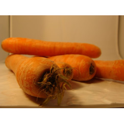 Carottes lavées x 500g