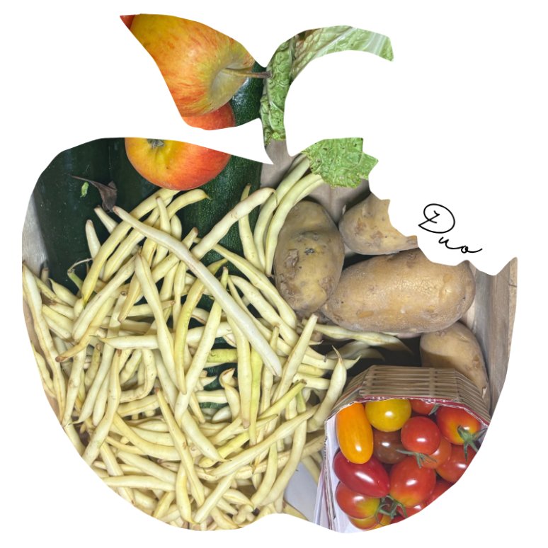 Panier DUO mixte Fruits & L&eacute;gumes Bio - Du Panier &agrave; l'Assiette