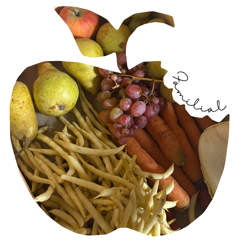 Panier familial mixte Fruits & Légumes Bio - Du Panier à l'Assiette Panier familial mixte Fruits & Légumes Bio - Du Panier à l'Assiette