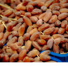 Datte Deglet Nour Bio - Du Panier &agrave; l'Assiette