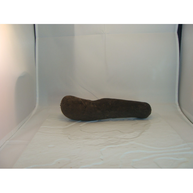 radis noir bio- Du Panier à l'Assiette