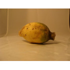 rutabaga bio- Du Panier à l'Assiette