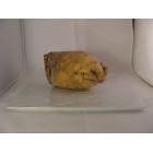 rutabaga bio- Du Panier à l'Assiette