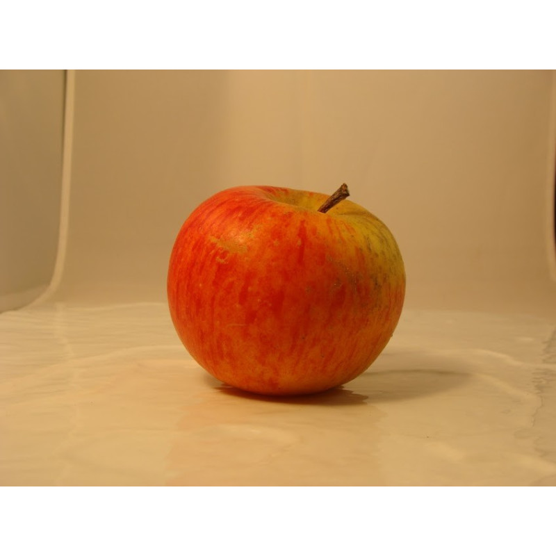 Pomme Topaz Bio - Du Panier à l'Assiette