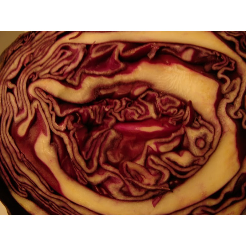 chou rouge breton bio- Du Panier &agrave; l'Assiette