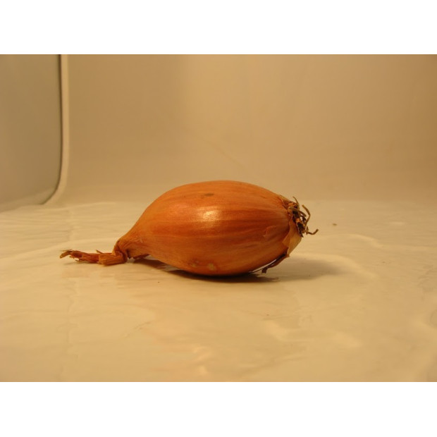 Echalote bretonne bio- Du Panier &agrave; l'Assiette