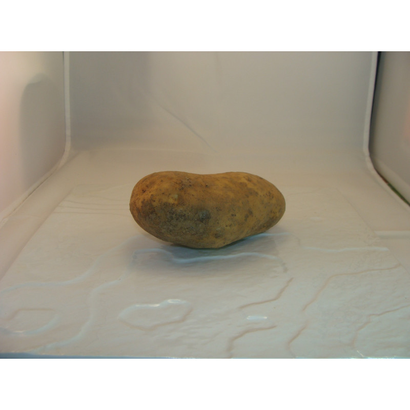 Pomme de terre bio- Du Panier &agrave; l'Assiette