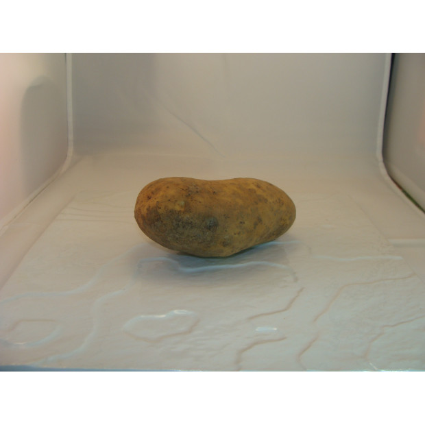 Pomme de terre bio- Du Panier &agrave; l'Assiette