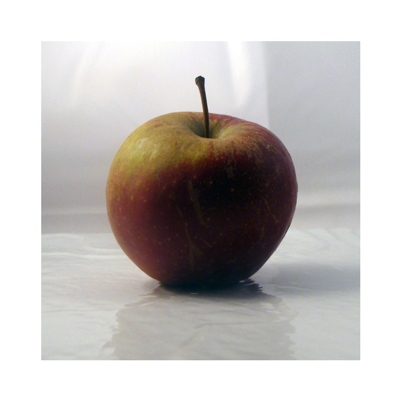 Pomme Ariane Bio - Du Panier à l'Assiette Pomme Ariane Bio - Du Panier à l'Assiette