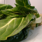 blette bio- Du Panier à l'Assiette